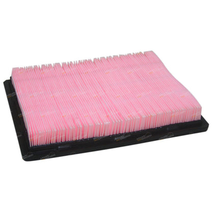 Air Filter Cleaner for Holden Commodore VX WL (2004–2007) V8 6.0L