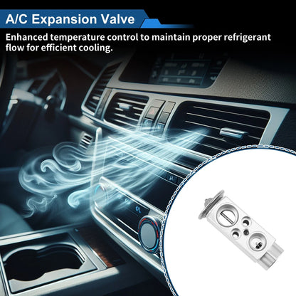 A/C Expansion Valve 2.5L for BMW 525i (2004-2007)