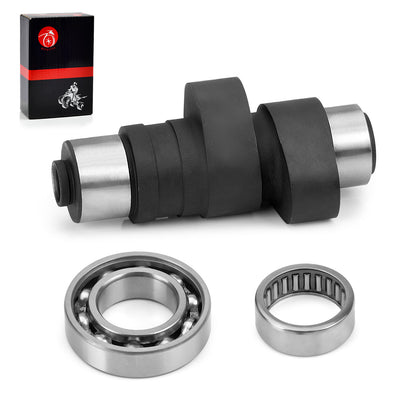 Camshaft & Bearing Repair Kit for Yamaha Warrior Wolverine Big Bear Kodiak (1996–2006)