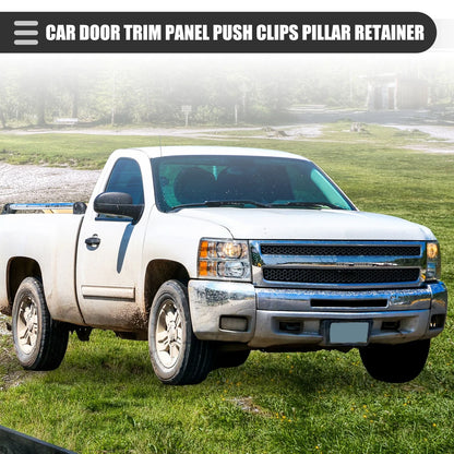 20 x Vehicle Door Trim Panel Push Clips for Chevrolet (No.11519031)