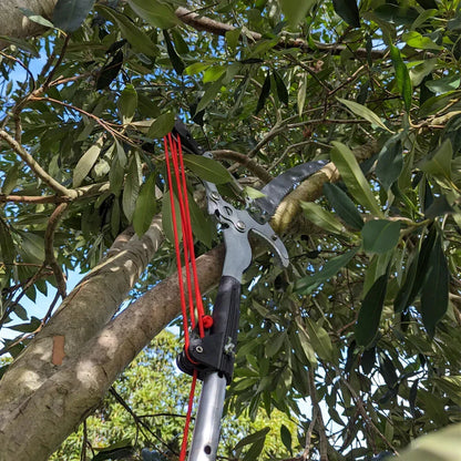 4M Telescopic Pruning Scissors for Garden Tools