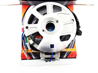 Stator Magneto Generator Assembly for APRILIA GULLIVER 50 (1995-2000)