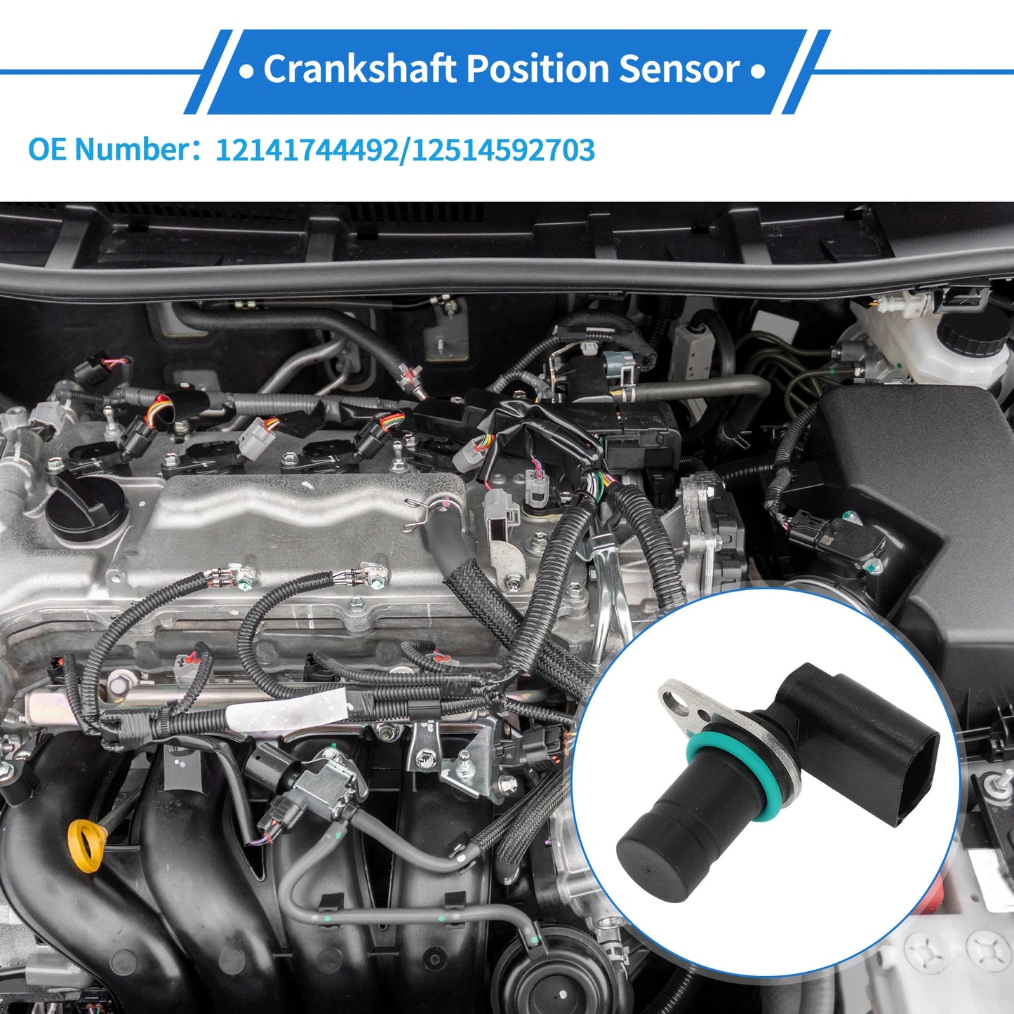 Crankshaft Position Sensor for BMW E46 325ti (2001–2004) No. 12141744492
