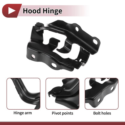 Hood Hinge for Toyota Camry (2002–2021) Left Side, 1 pcs