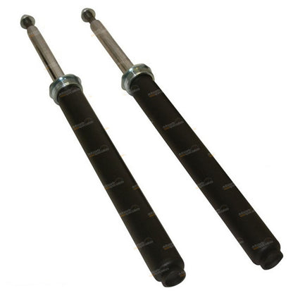2X Front Strut Shock Absorber for Toyota RAV4 (1994–2000)