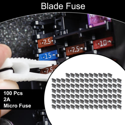 100 Pcs Micro 2A Blade Fuse for Car Boat Truck RV Motorcycle