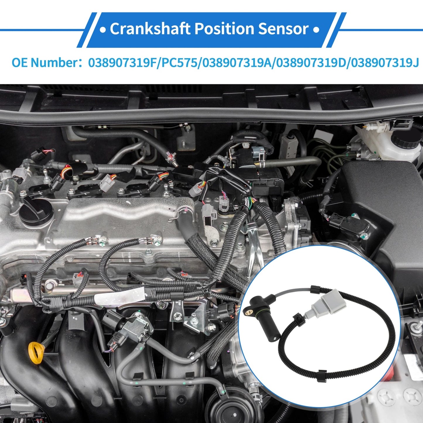 Crankshaft Position Sensor for VW Beetle GL (1998–2010)