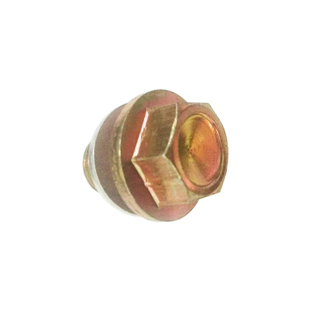 Engine Oil Drain Plug & Washer for Hyundai Kia