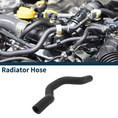 Radiator Hose for Nissan (No. 215011DA0A) Upper Radiator Hose