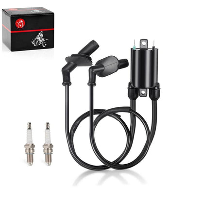 Ignition Coil & Spark Plug wCap for Honda Goldwing 1500 GL1500 A/SE/I (1988–2000)