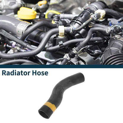 Radiator Hose No. 1657138050 for Lexus LS460 (2007–2012)