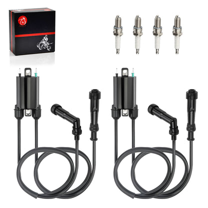 2 Sets Ignition Coil & Spark Plug for Honda CB750 Nighthawk (1991–2003)