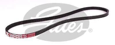 Drive Belt for Gates (Universal Fit)