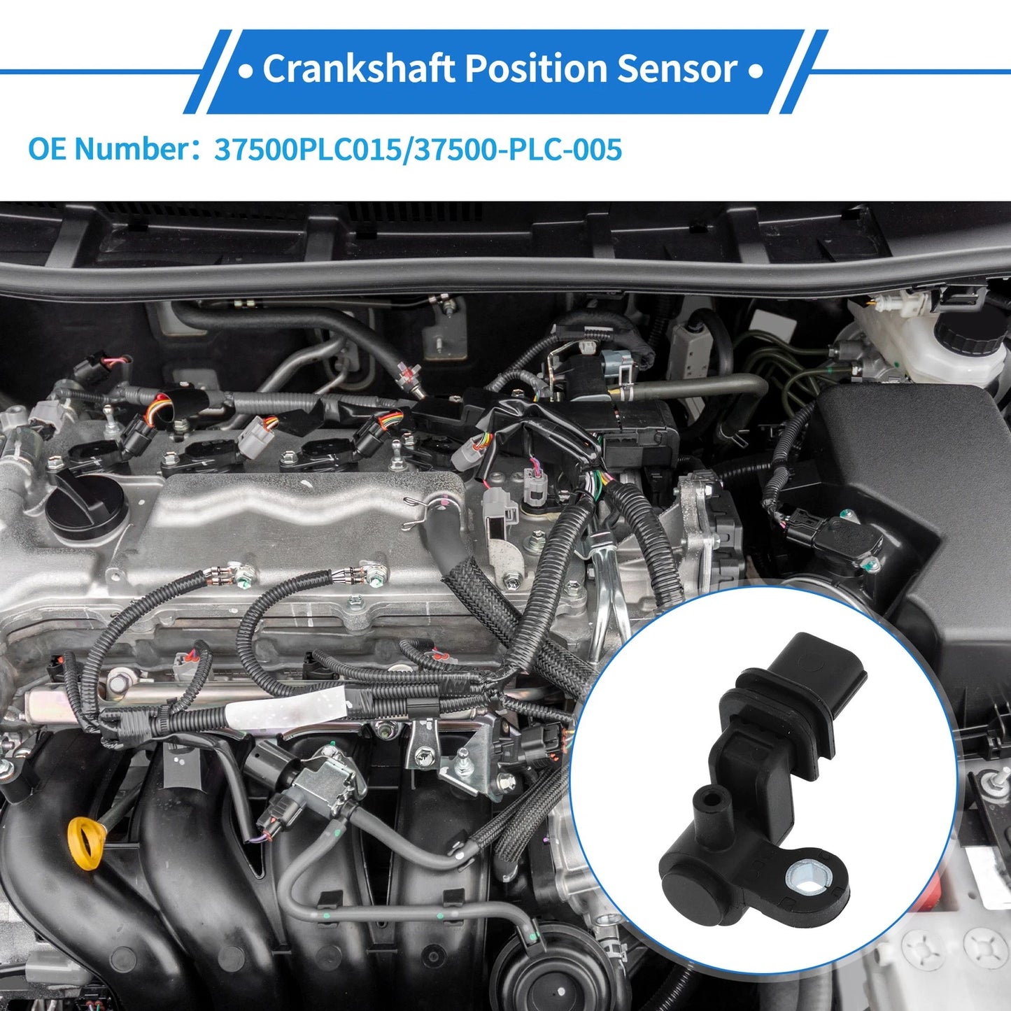 Crankshaft Position Sensor for Honda Civic 1.7 (2001–2005) No. 37500PLC015