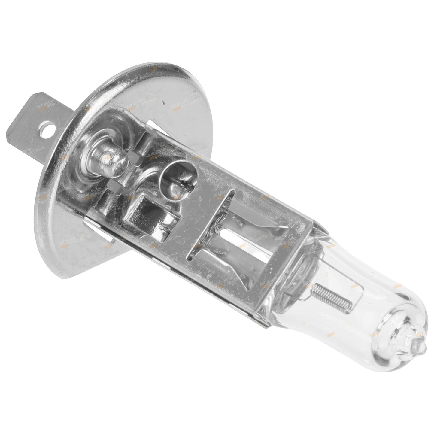 Halogen Bulb H1 for Motorchamp (12V 100W)