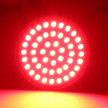 48 LED Rear Turn Signal Light Bulbs for Harley (UK)