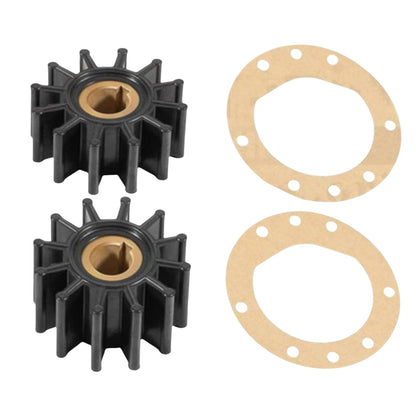 Dual Impeller Pump Repair Kit for Sherwood D55