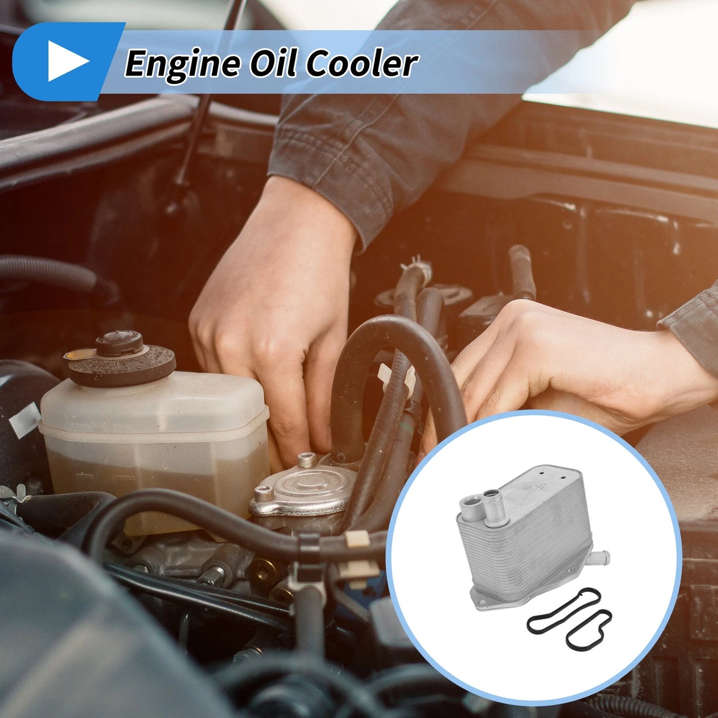 Engine Oil Cooler for Land Rover LR2 L6 3.2L (2008–2010) No. 5989070281