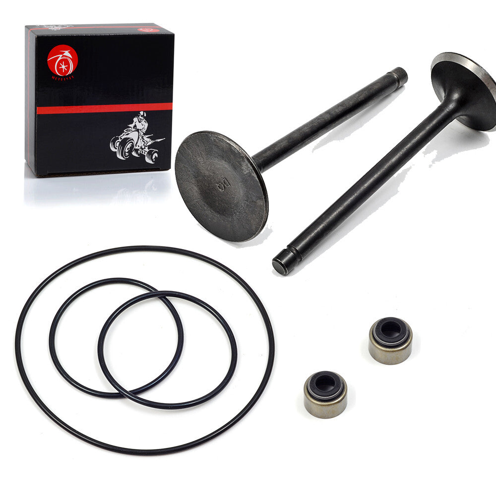 Intake Valve for Yamaha Kodiak 400 (1993–2001)