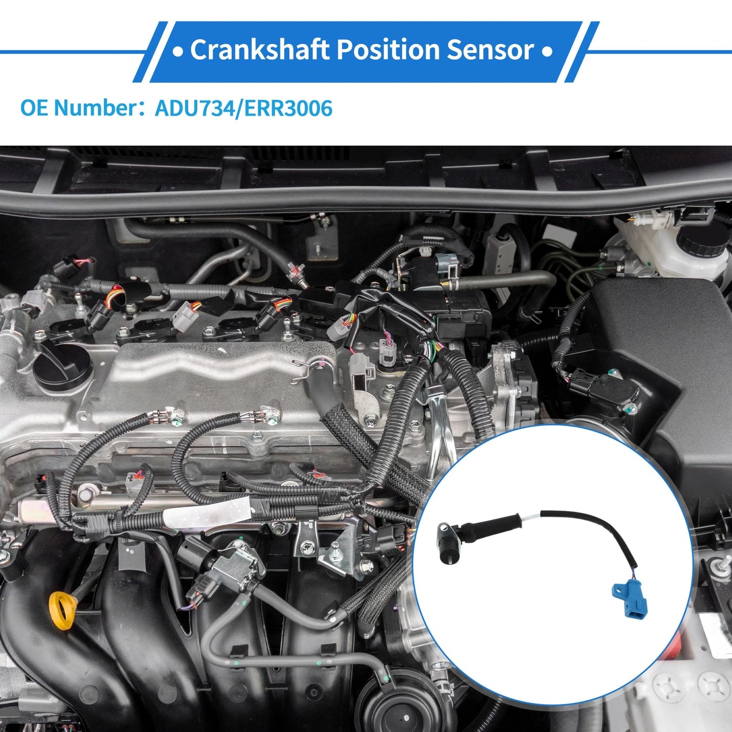 Crankshaft Position Sensor for Land Rover Range Rover (1994–2002) ERR3006