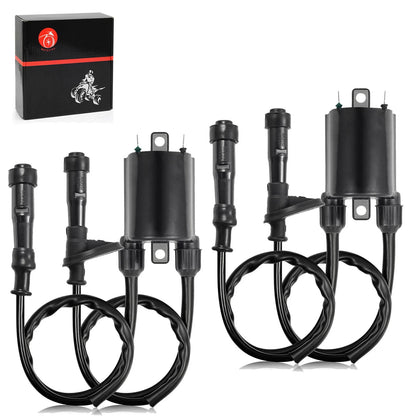 2 x Sets Ignition Coils for Honda VT750C Shadow / VT750CD2 Shadow Ace (1998–2001)