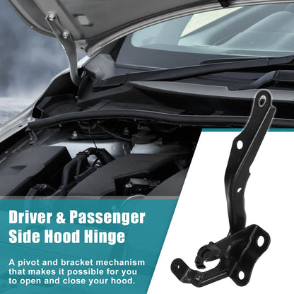 Hood Hinge Pair for Toyota (5341012550, 5341002170) (2Pcs)