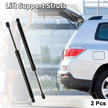 Rear Gate Lift Supports for Dodge Magnum (2005-2010)