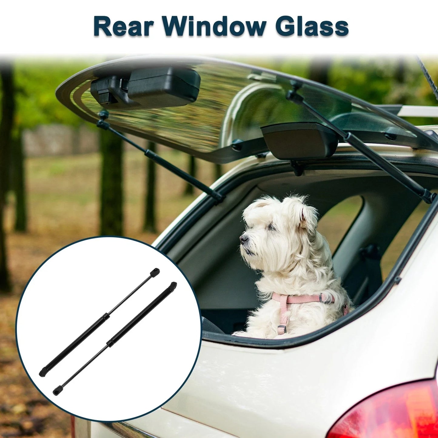 Rear Window Lift Supports Struts for Chevrolet Blazer (1995-2005)