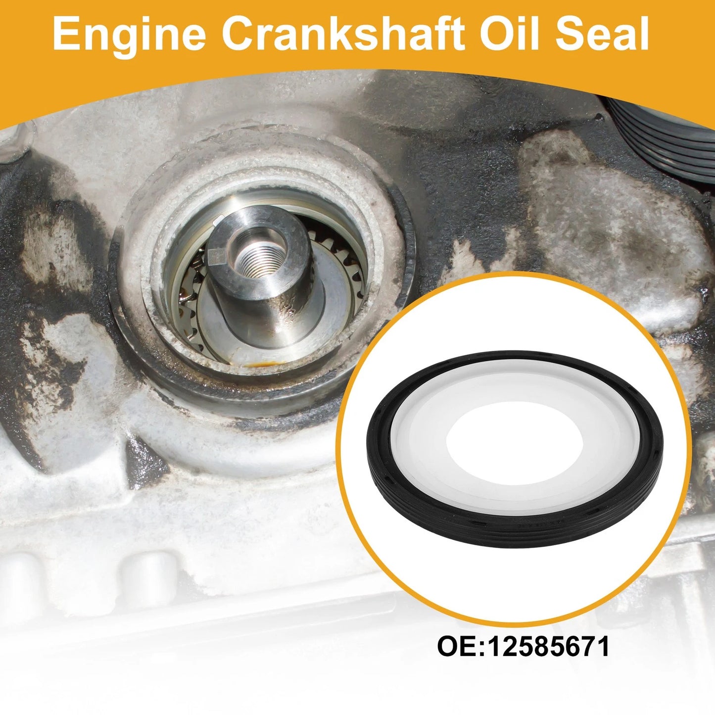 Engine Rear Crankshaft Oil Seal for Chevrolet Avalanche (No. 12585671)