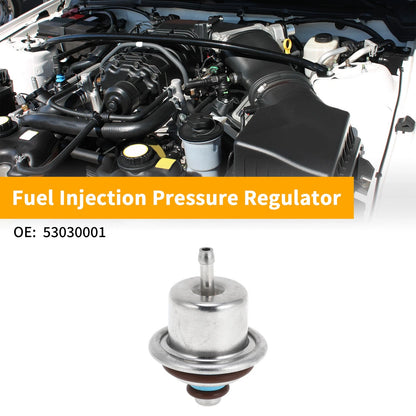 Fuel Pressure Regulator for Hyundai Tucson (2005) No. 53030001