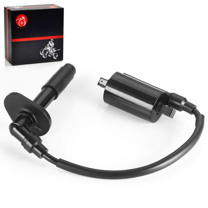 Ignition Coil & Spark Plug Cap for Kawasaki Ninja 250R (1988–2007)