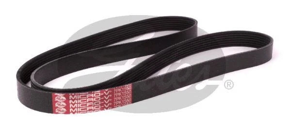 Drive Belt for Gates (Micro-V) for Various Models