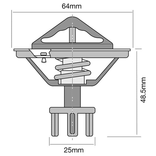 Thermostat for Nissan Skyline R34 (1998–2000)