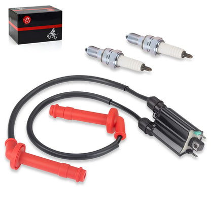 Ignition Coil & Spark Plug for Honda CBR600F2/CBR600F3/SJR (1991–1998)