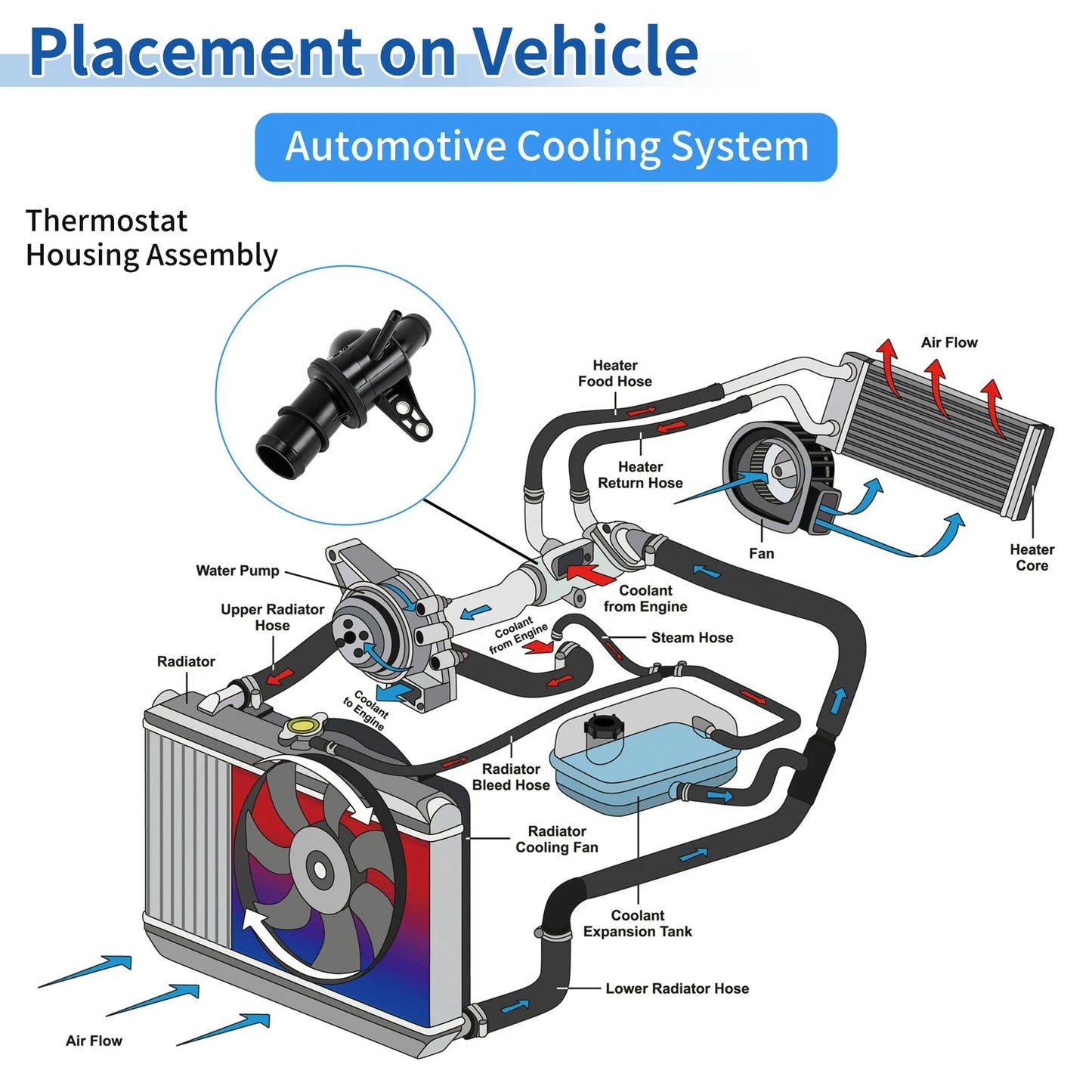 Engine Coolant Thermostat for Mercedes-Benz A-Class (2004–2012) 6402000415