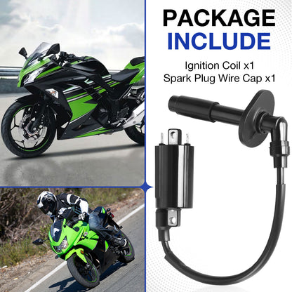 Ignition Coil & Spark Plug Cap for Kawasaki Ninja 250R (1988–2007)