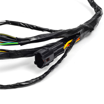 Complete Wiring Harness for Yamaha Blaster YFS200 (2003–2006)