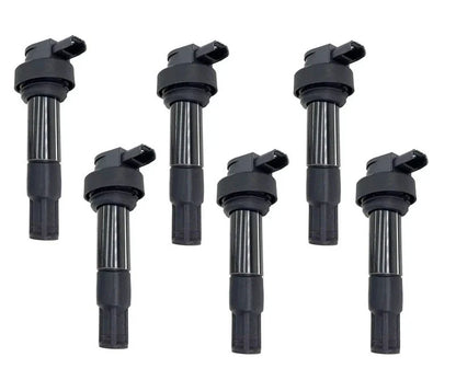 Ignition Coils W/Module 6x for BMW K1600GT (2010–2017)