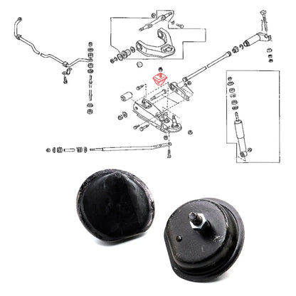 Lower Bumper Springs for Nissan Navara D22 (1997–2004)