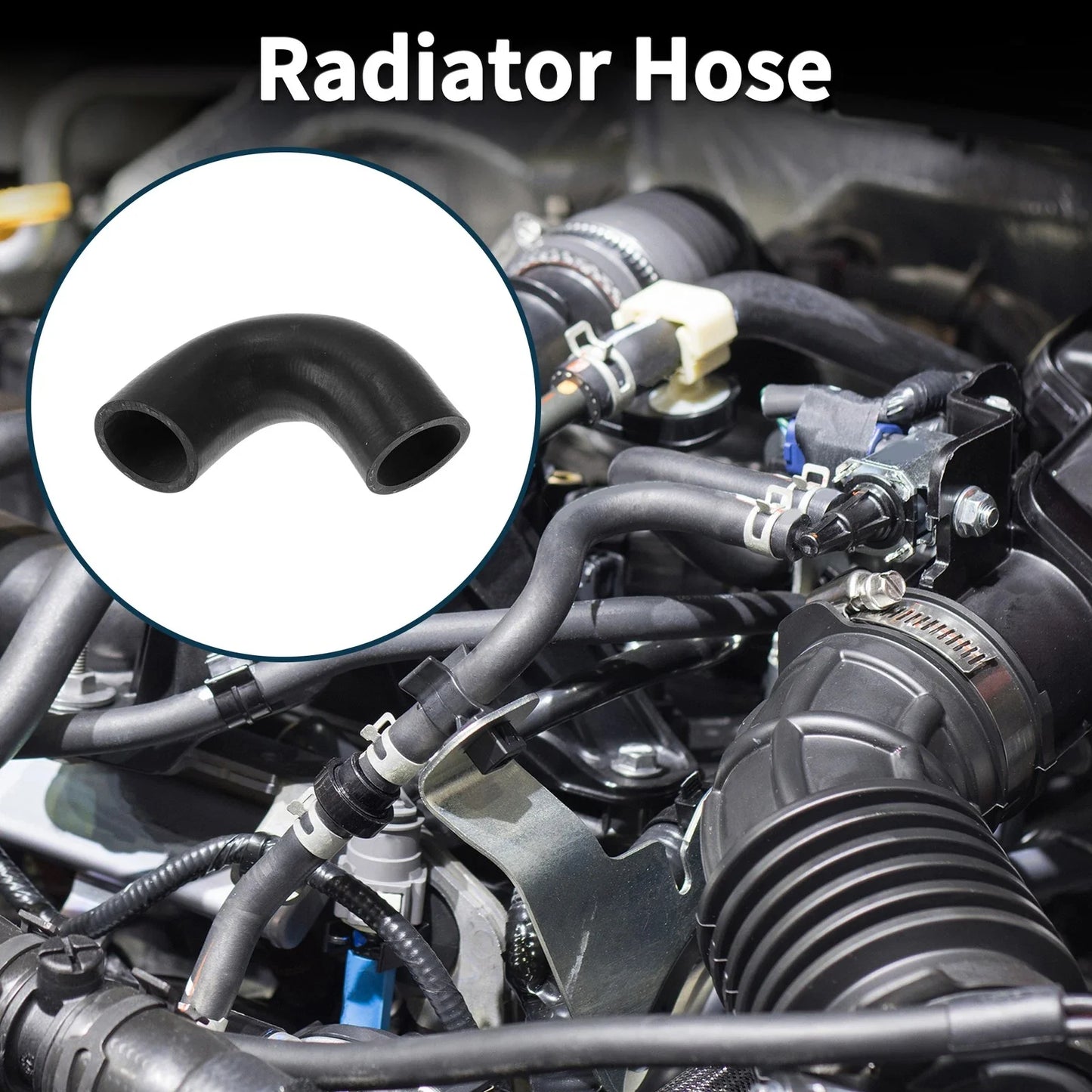 Radiator Hose for BMW 528i (1979-1981)
