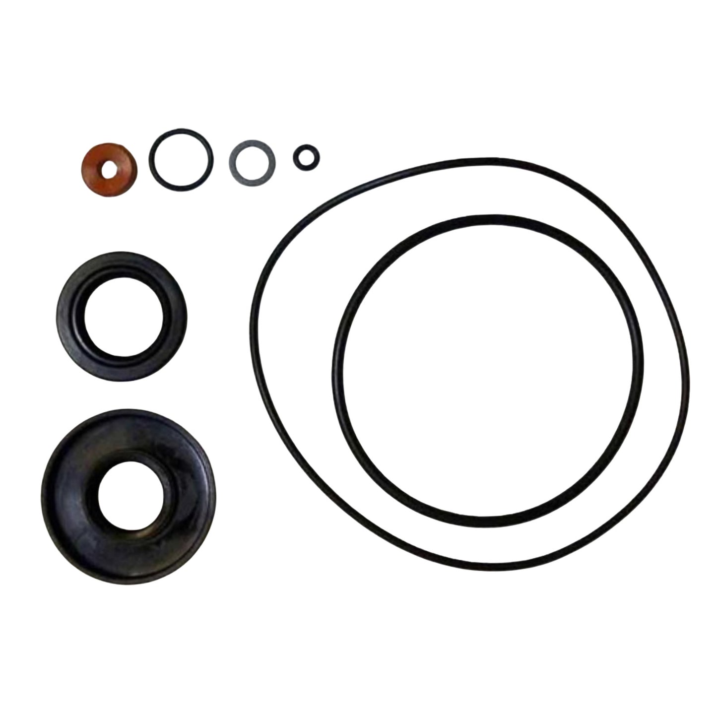 Lower Unit Seal Kit for Force 70 75 HP (1979–1980)