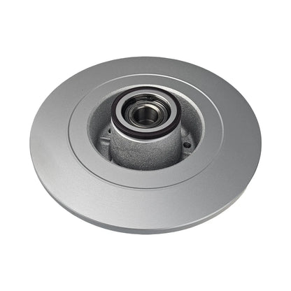 Rear Brake Rotor for Renault Megane (2002–2016)