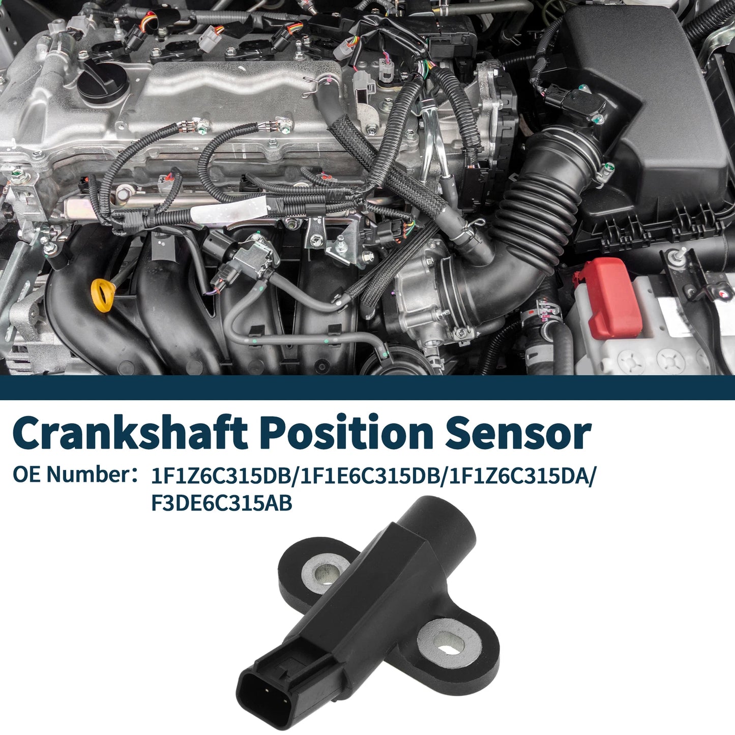 Crankshaft Position Sensor for Ford Ranger (1995–2008) 1F1Z6C315DB