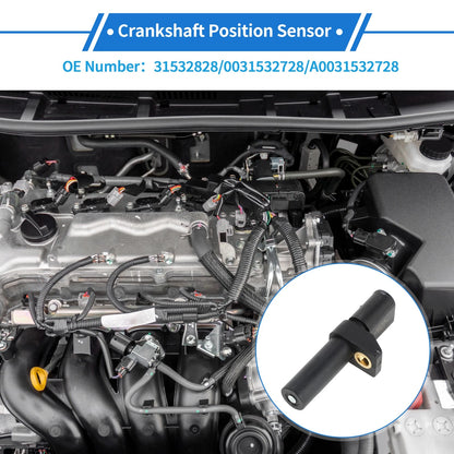 Crankshaft Position Sensor for Mercedes-Benz Sprinter 2500 (2014–2016) No.31532828