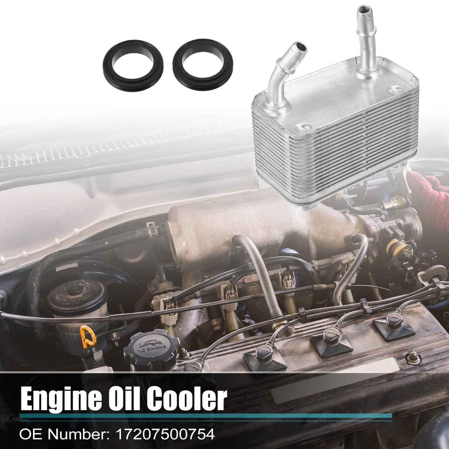 Engine Oil Cooler Housing with Gasket Assembly for BMW X5