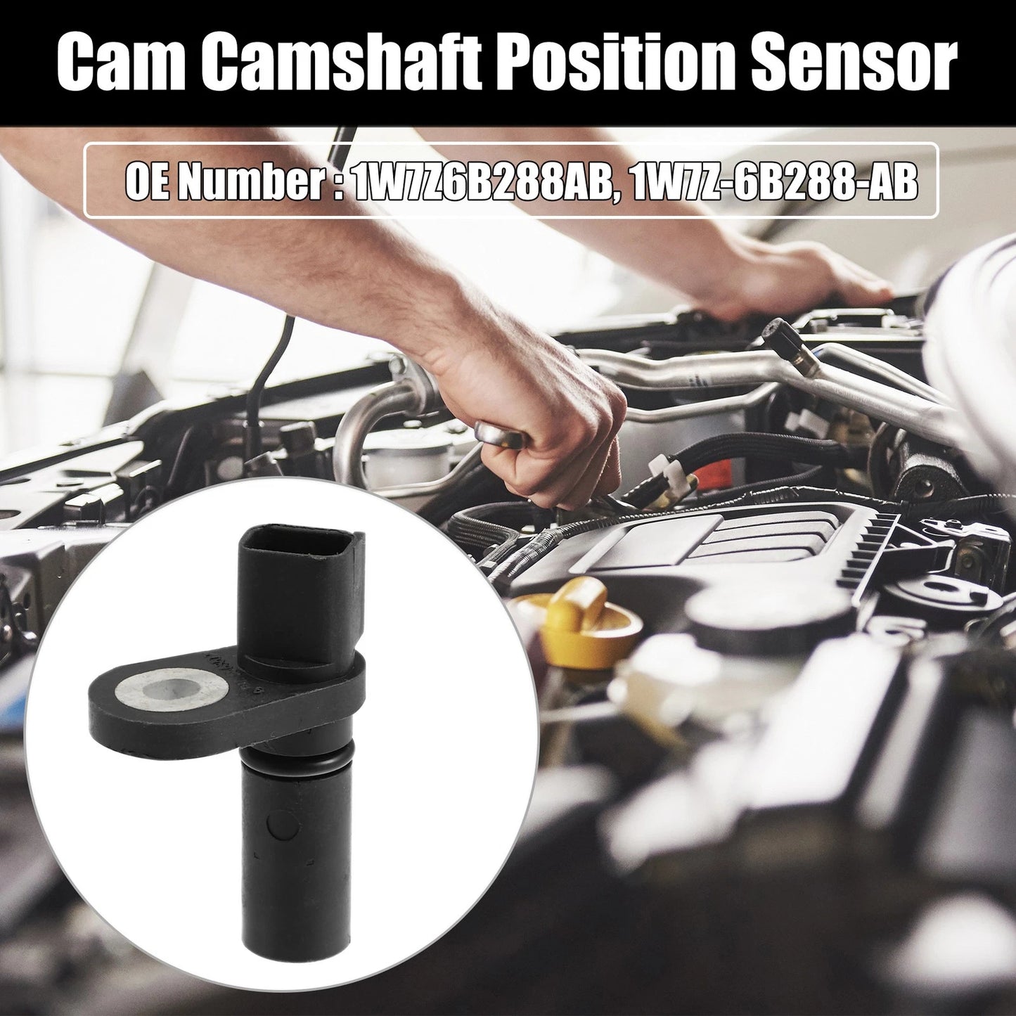 Camshaft Position Sensor 1W7Z6B288AB for Ford Crown Victoria (1992–2011)