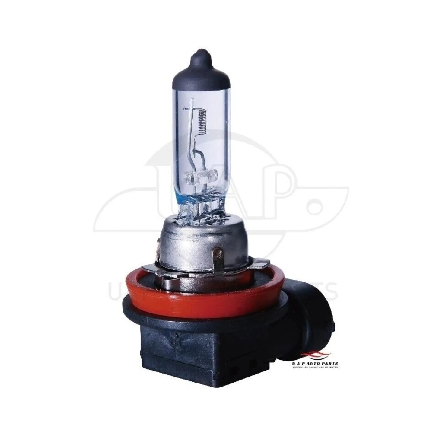Set of 2 H11 Halogen Headlight Bulbs