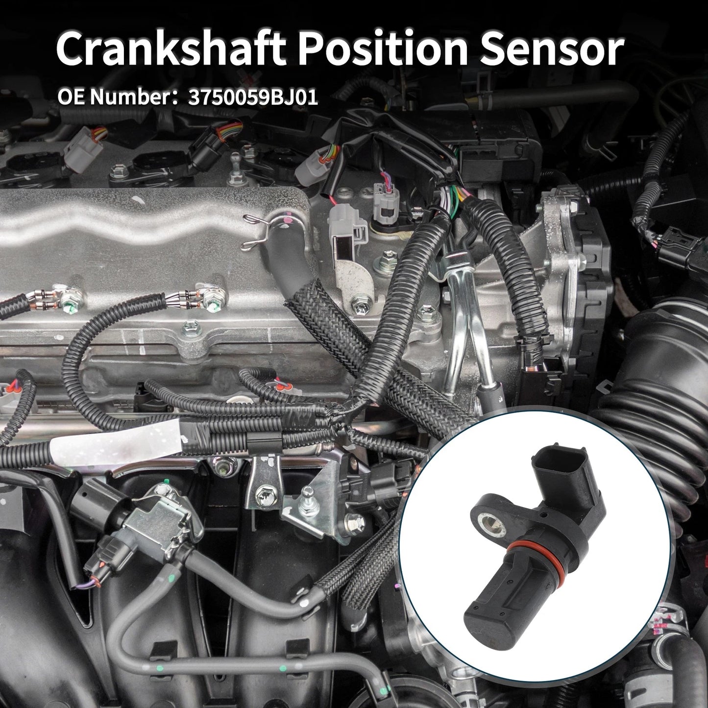 Crankshaft Position Sensor for Honda Civic 1.5 (2016–2024) No. 3750059BJ01