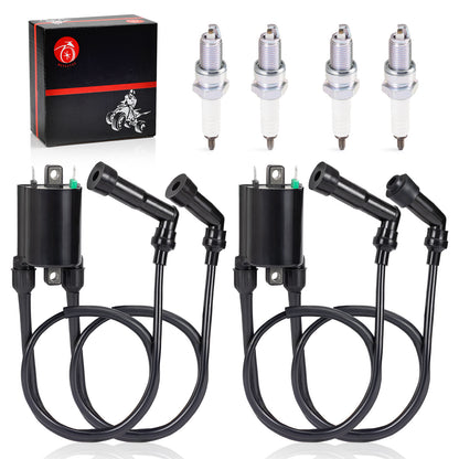 Ignition Coil and Spark Plug for Kawasaki VN1600 Vulcan 1600 (2003–2007)