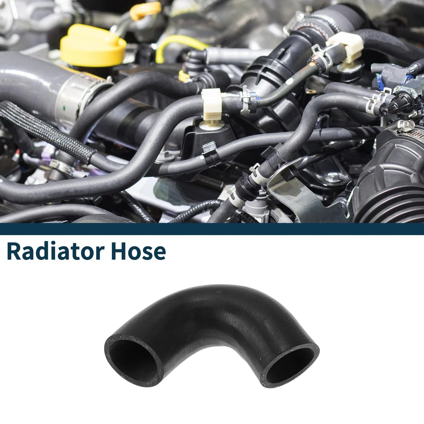 Radiator Hose for BMW 528i (1979-1981)